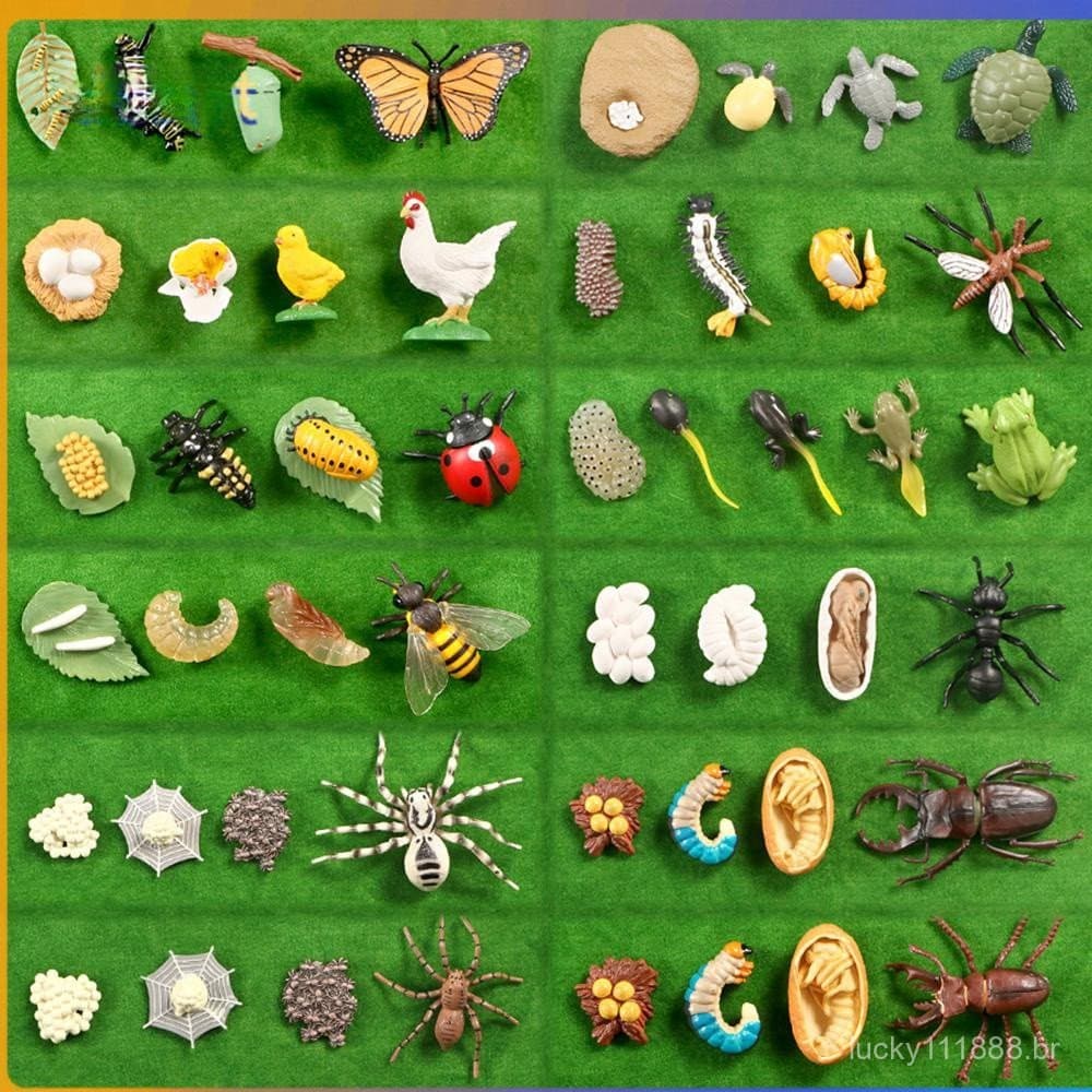 Deserto Brinquedo Jardim De Infância Crianças Ciclo De Vida Didática Libélula Borboleta Joaninha Animais Crescimento Sim