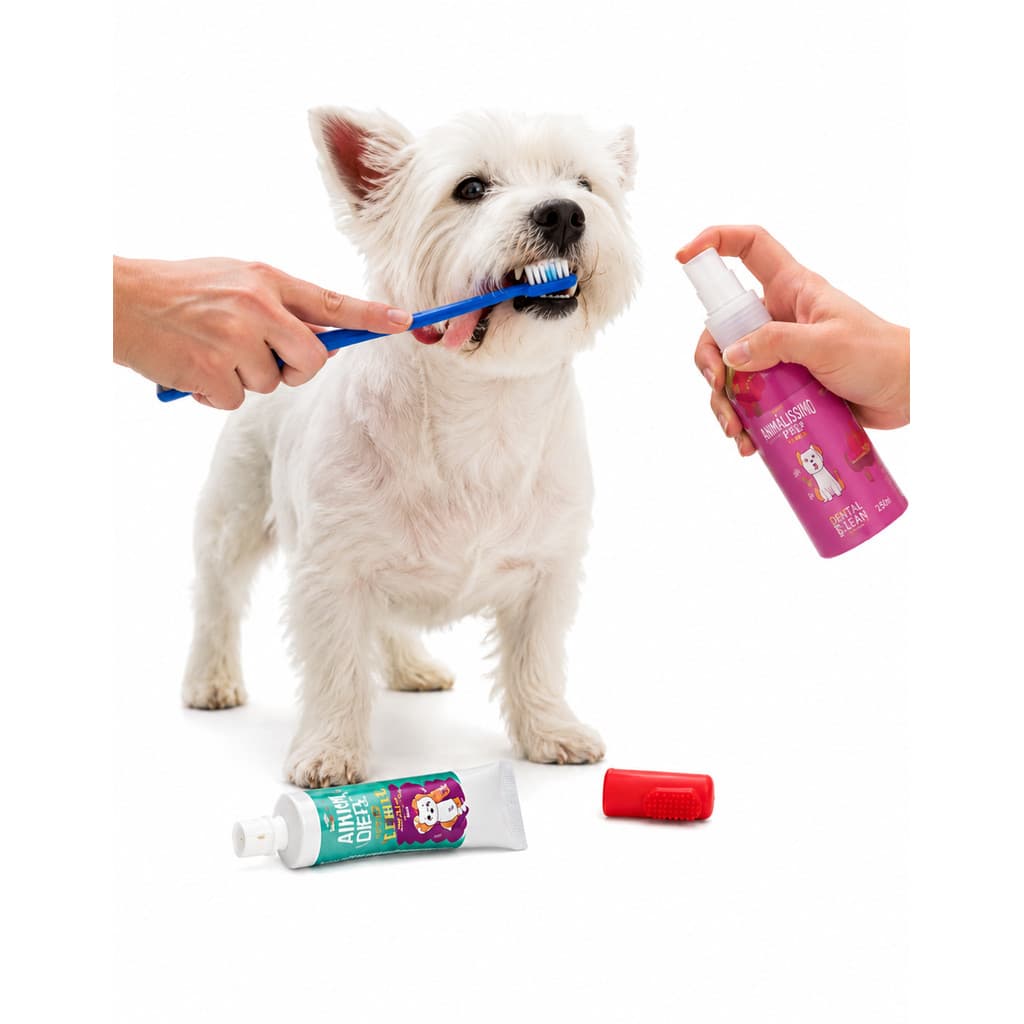 Kit Higiene Dental Animalissimo Master Tutti Frutti Cães Pet