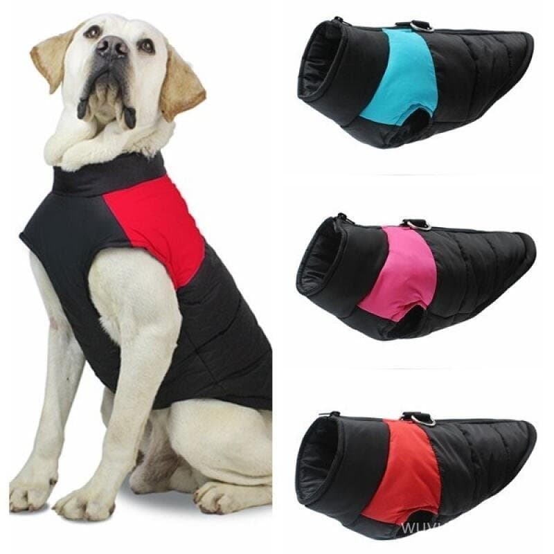 Jaqueta Para Cachorro De Estimação , Roupas Quentes De Inverno Cães Pequenos E Grandes , Casaco Labrador , À Prova De Ve