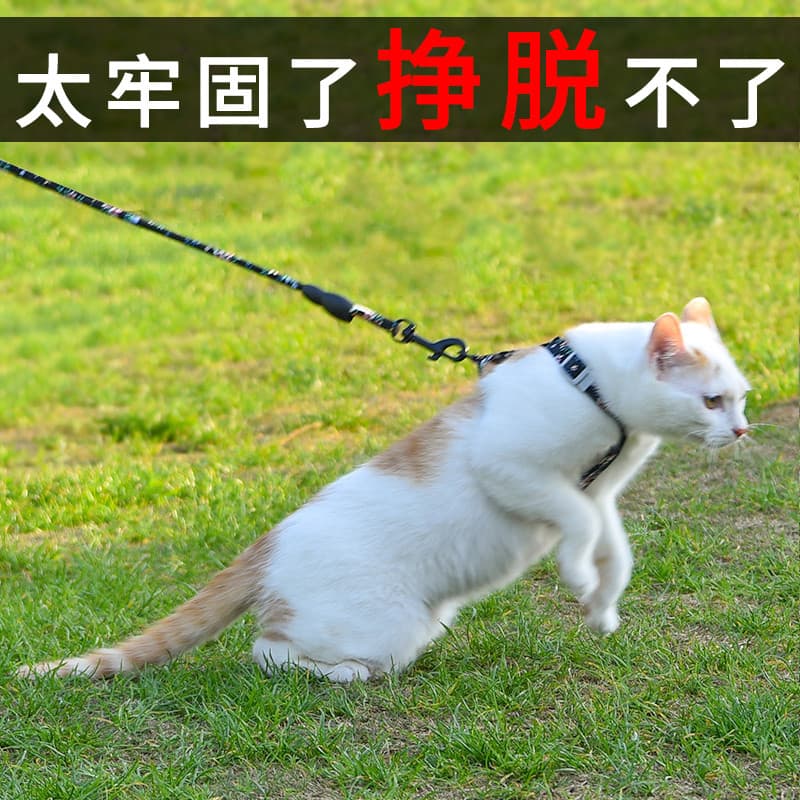 Coleira escorregadia para gatos, coleira Anti-quebra, alça especial para caminhada, coleira para gatos em forma de I, co