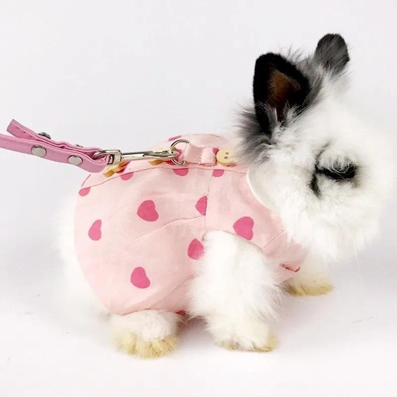 Conjuntos De Roupas De Coelho Com Estampa De Coração , Vestido Para Animais De Estimação , Colla RHat , 3 Peças , Ternos