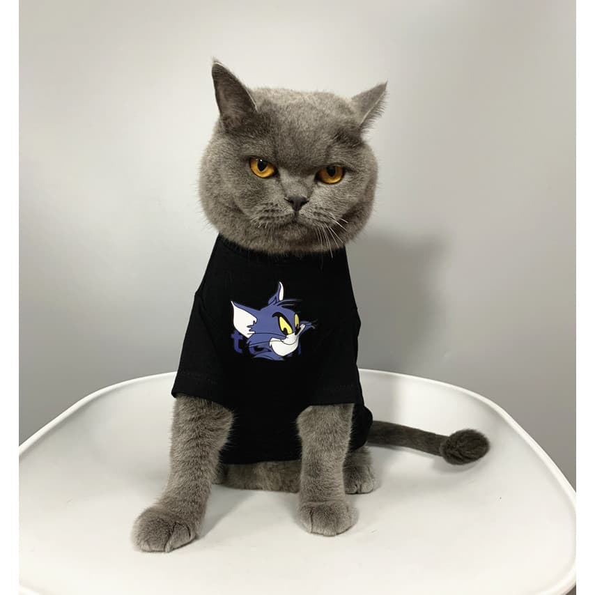 Original roupas de gato gatinho primavera verão azul gato Muppet gato de estimação gato puro algodão respirável gatinho