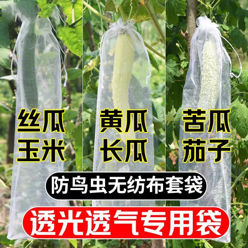 Loofah pepino cabaça amarga ensacamento proteger melão frutas à prova de insetos saco de malha especial saco de gaze fru