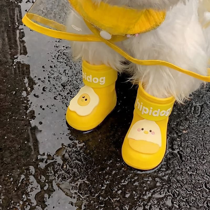 Botas de chuva para cães, sapatos para cachorros pequenos, Bichon, sola macia, não pode sair, sapatos para animais de es