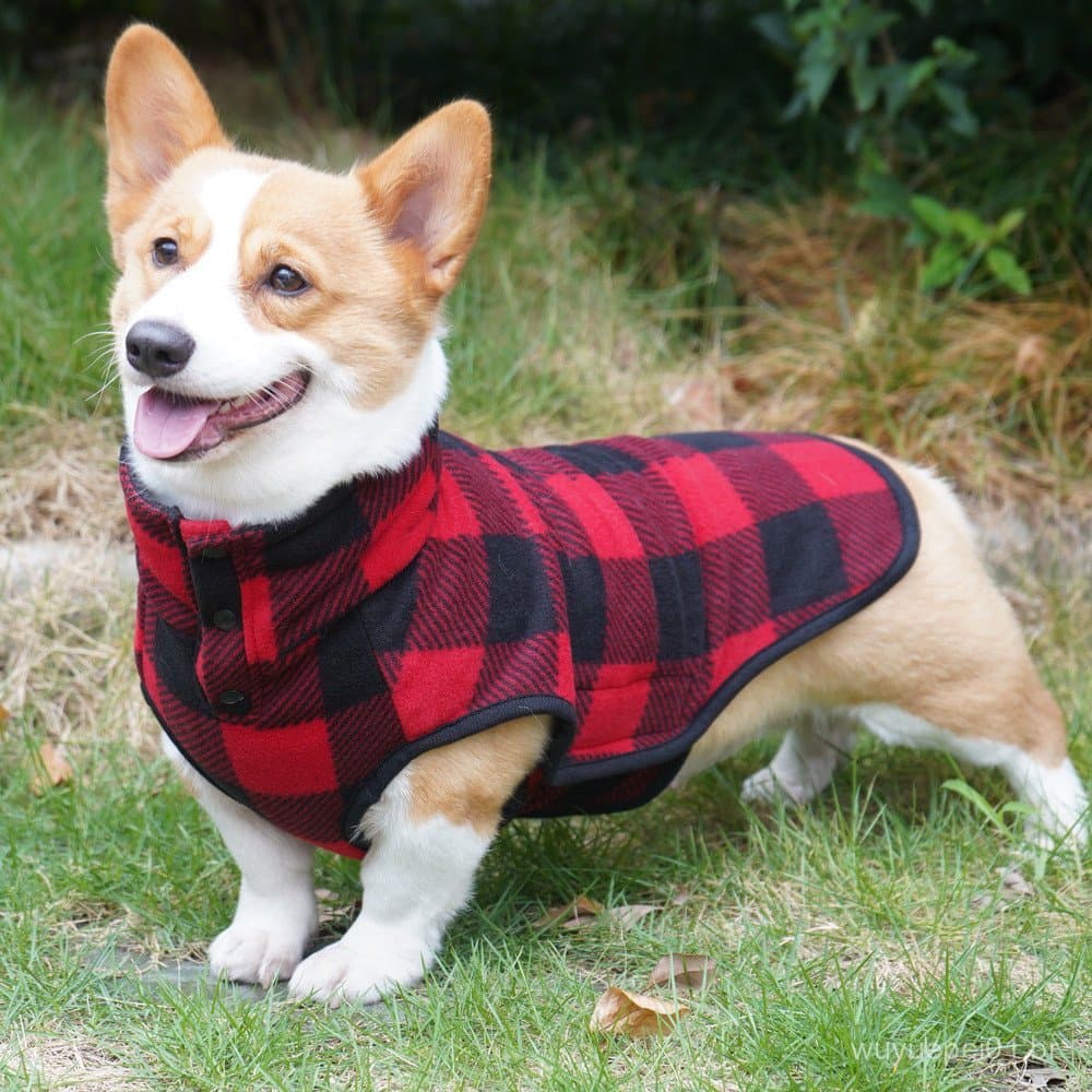 Suéter Grande De Lã Quente Para Cachorro Com Capuz Animais De Estimação Vestuário De Inverno