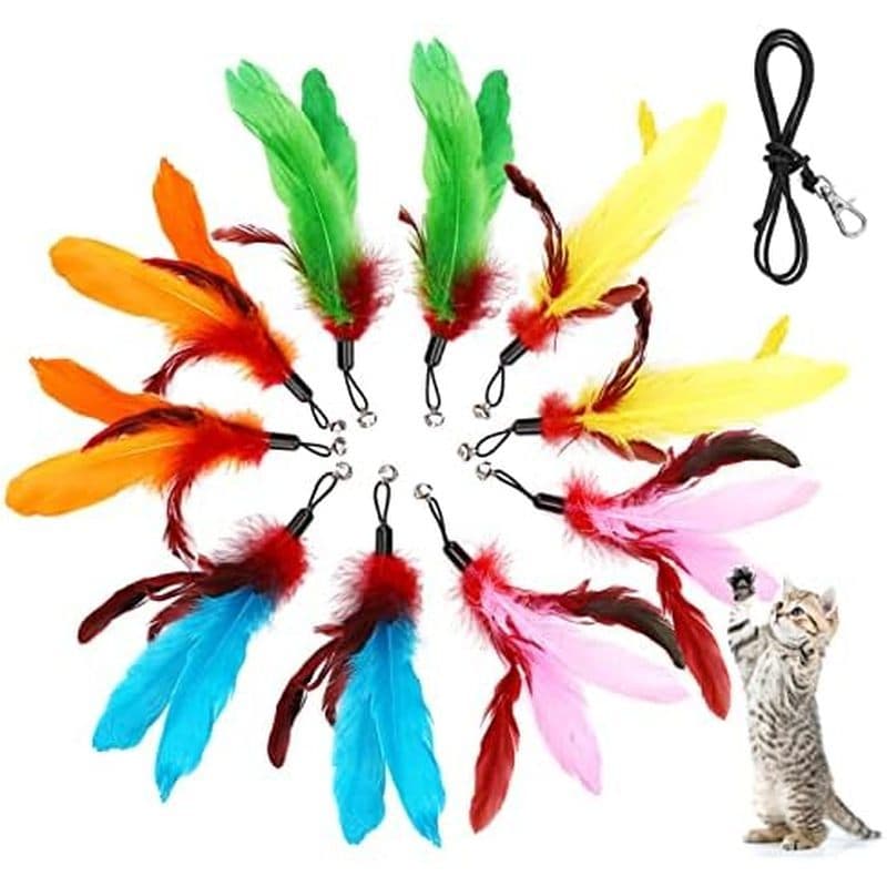 10 Peças De Brinquedo De Minhoca De Gato Para Gatos , Acessórios Varinha , Substituições De Penas E Corda Preta De 1 Uni