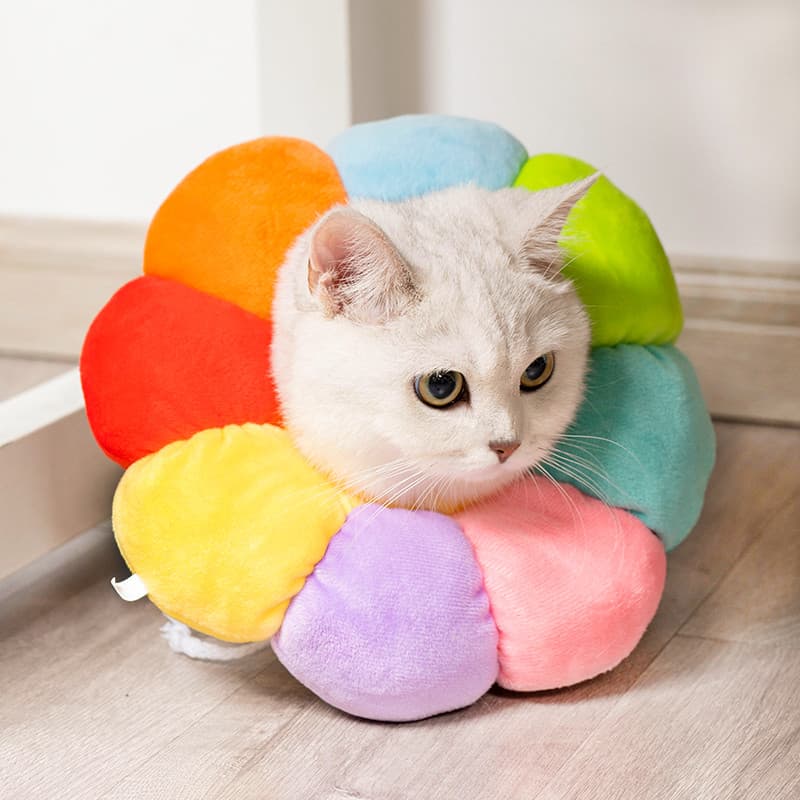 Coleira Elizabeth para gatos, arnês macio para gatos, Anti-lamber, mordida, esterilização, vergonha, coleira para cães,