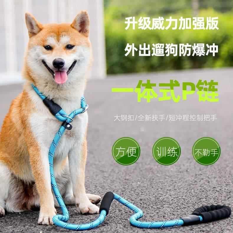 Coleira para cachorro médio grande, Corgi, Golden Retriever, corda para caminhada, cachorro pequeno, coleira para cachor