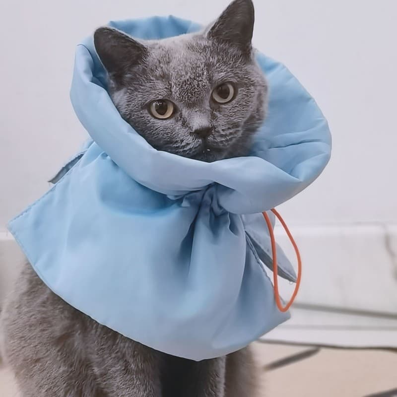 Babador de gato anti-lamber Elizabeth colar de esterilização de gato anti-lamber pulgas inglês curto colar de gato conju