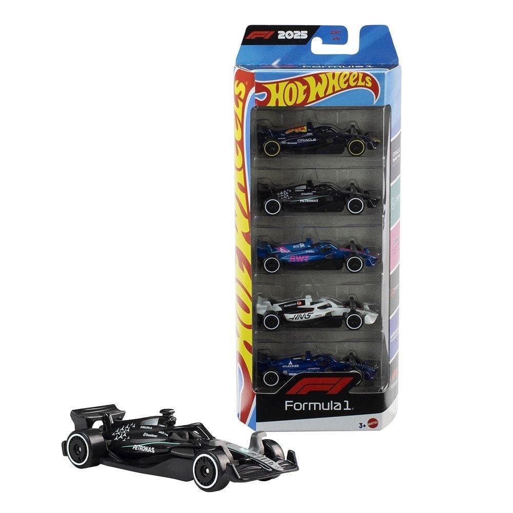 Carrinho Hot Wheels Temáticos JLN11 - Embalagem com 5 Unidades (SORTIDO)