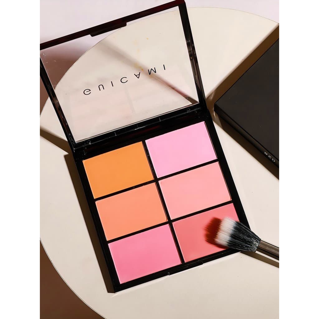 Artista de maquiagem dedicado seis cores Blush paleta sombra tudo-em-um paleta expansão cor fosco sol vermelho feminino
