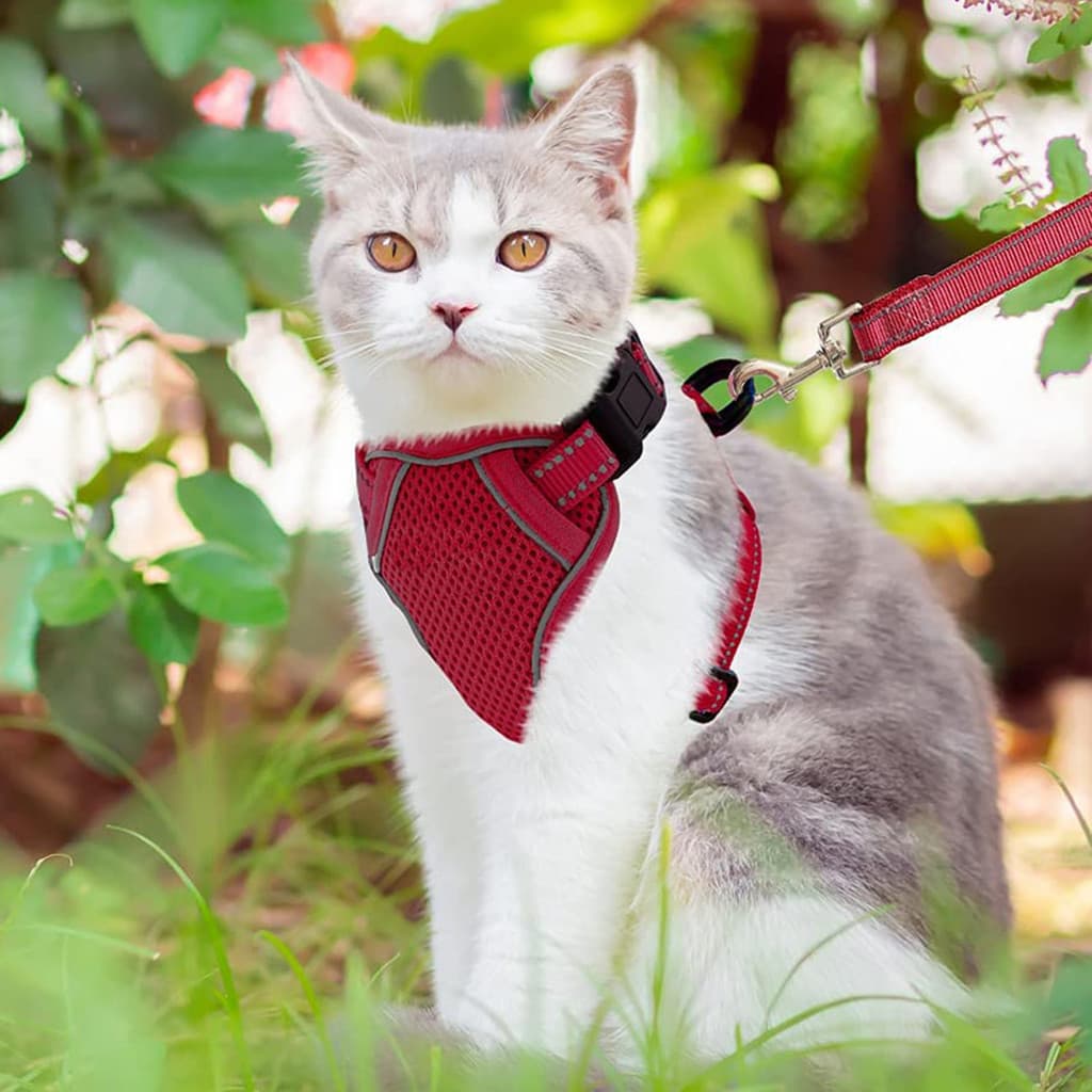 Arnês De Peito Respirável Para Gatos De Estimação Colete Antiderrapante Sair