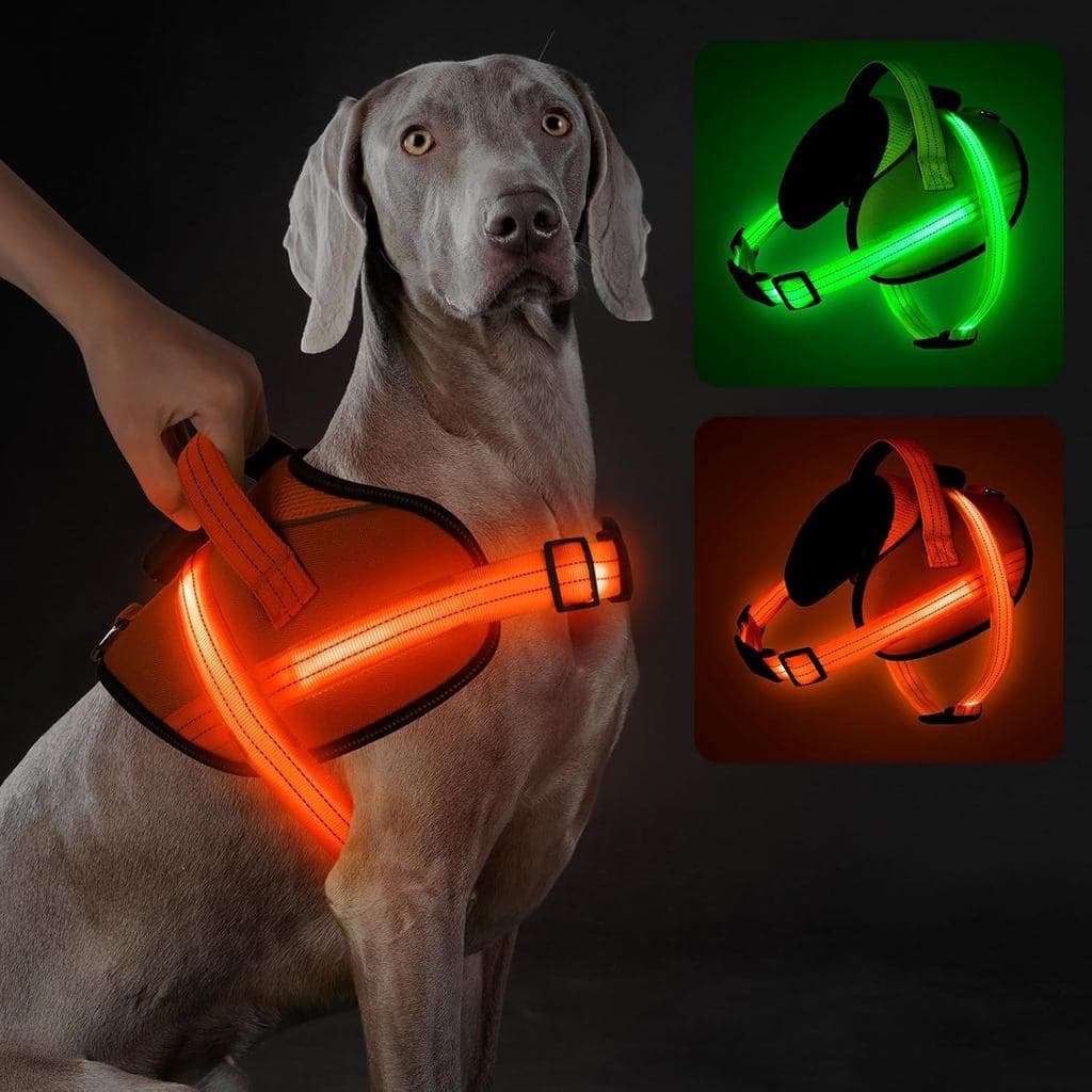 Coleira para Cães com Luzes, Coleira LED para Cães Sem Puxar Recarregável, Coleira Refletiva que Brilha no Escuro, Colei