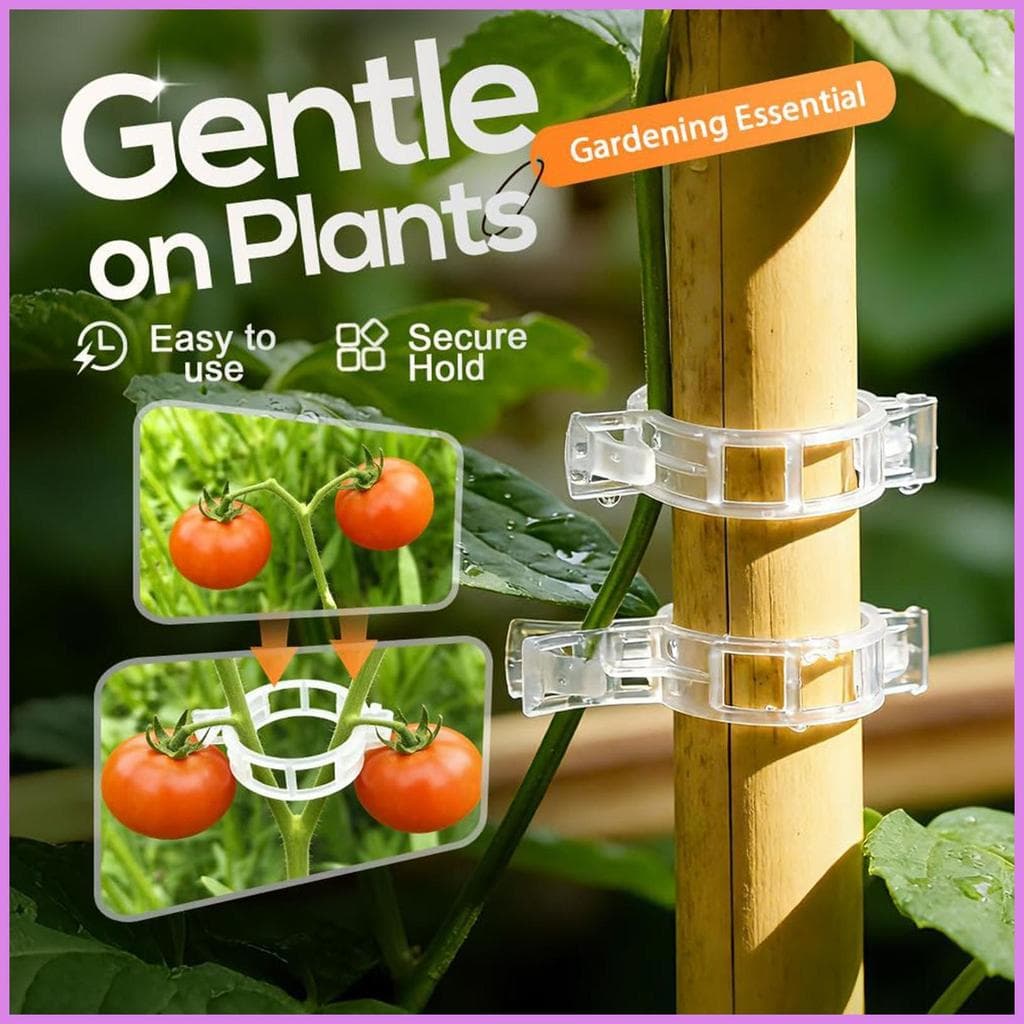 Clipes De Plantas Para Suporte , 100 Peças , Grampos Verticais Cultivo , Tomate Treliça De Corda Jardim chwuiebr