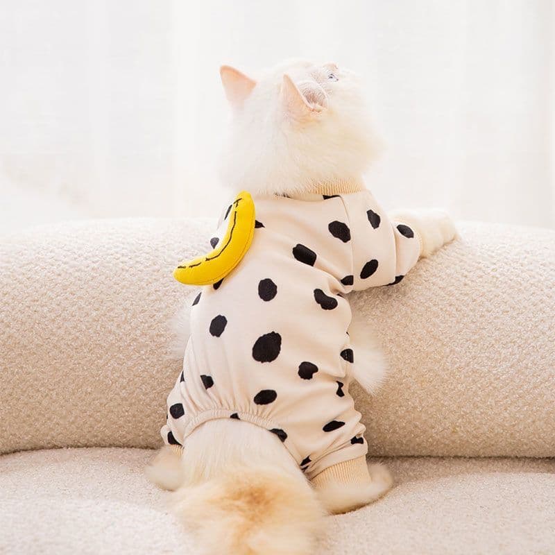Gato Anti-fiapos roupas outono casa roupas de quatro patas gato gatinho Muppets gato inglês curto Garfield Pet outono in