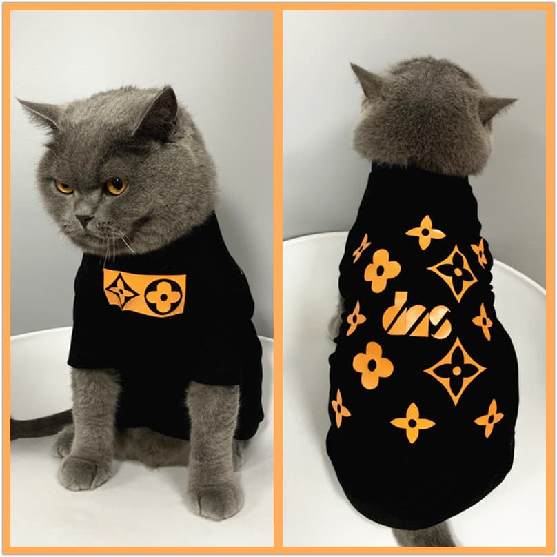 Street Wear roupas de gato azul gato Muppet gato animal de estimação primavera verão T fino Anti-fiapos respirável gatin