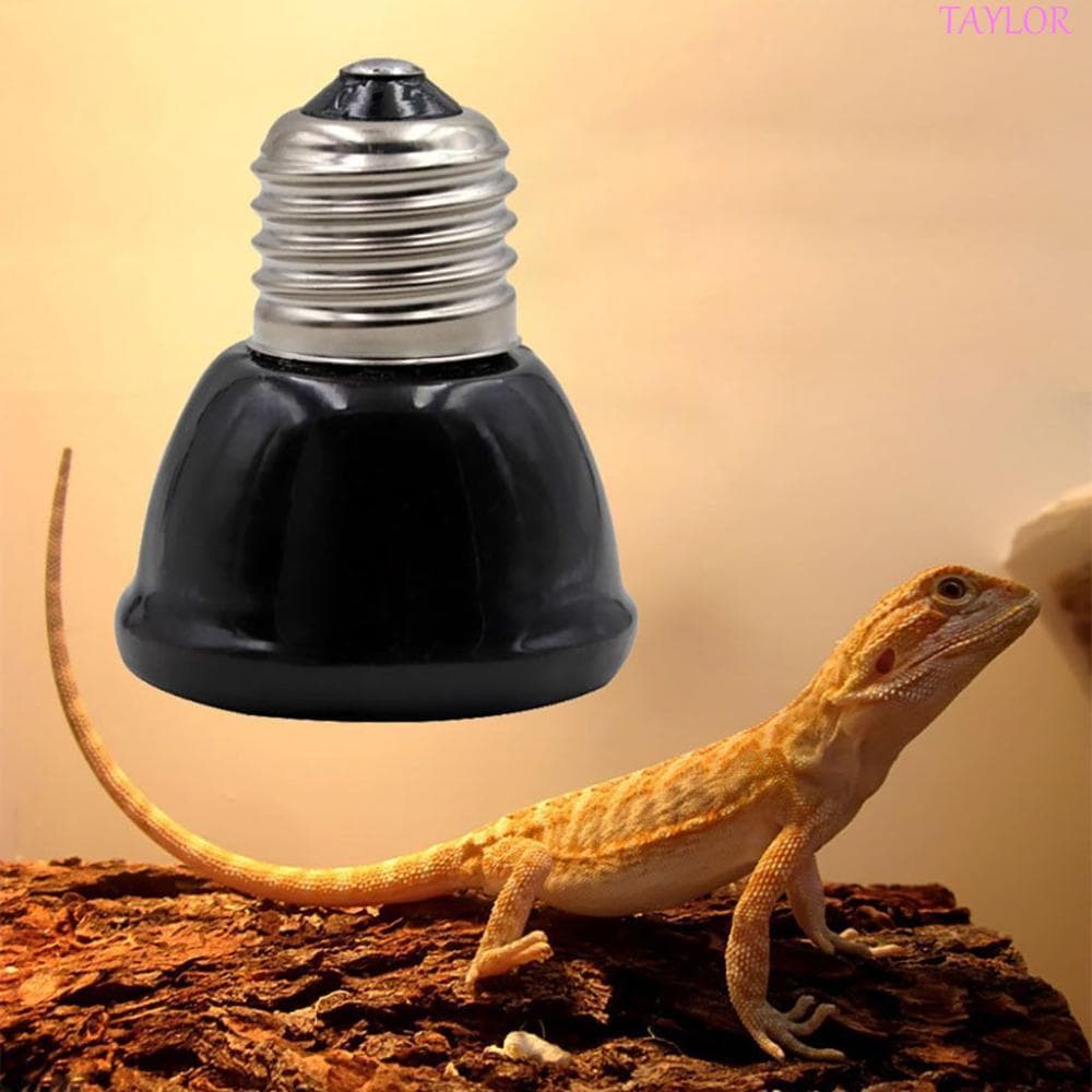 Lâmpada Para Répteis TAYLOR 25/50/75/100W Material Cerâmico Tartaruga , Lagarto , Frango Mantendo De Aquecimento Preta Q