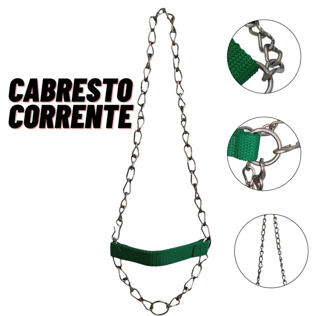 Cabresto de Corrente aço Inox para ovelhas cabritos ovinos Super Resistente