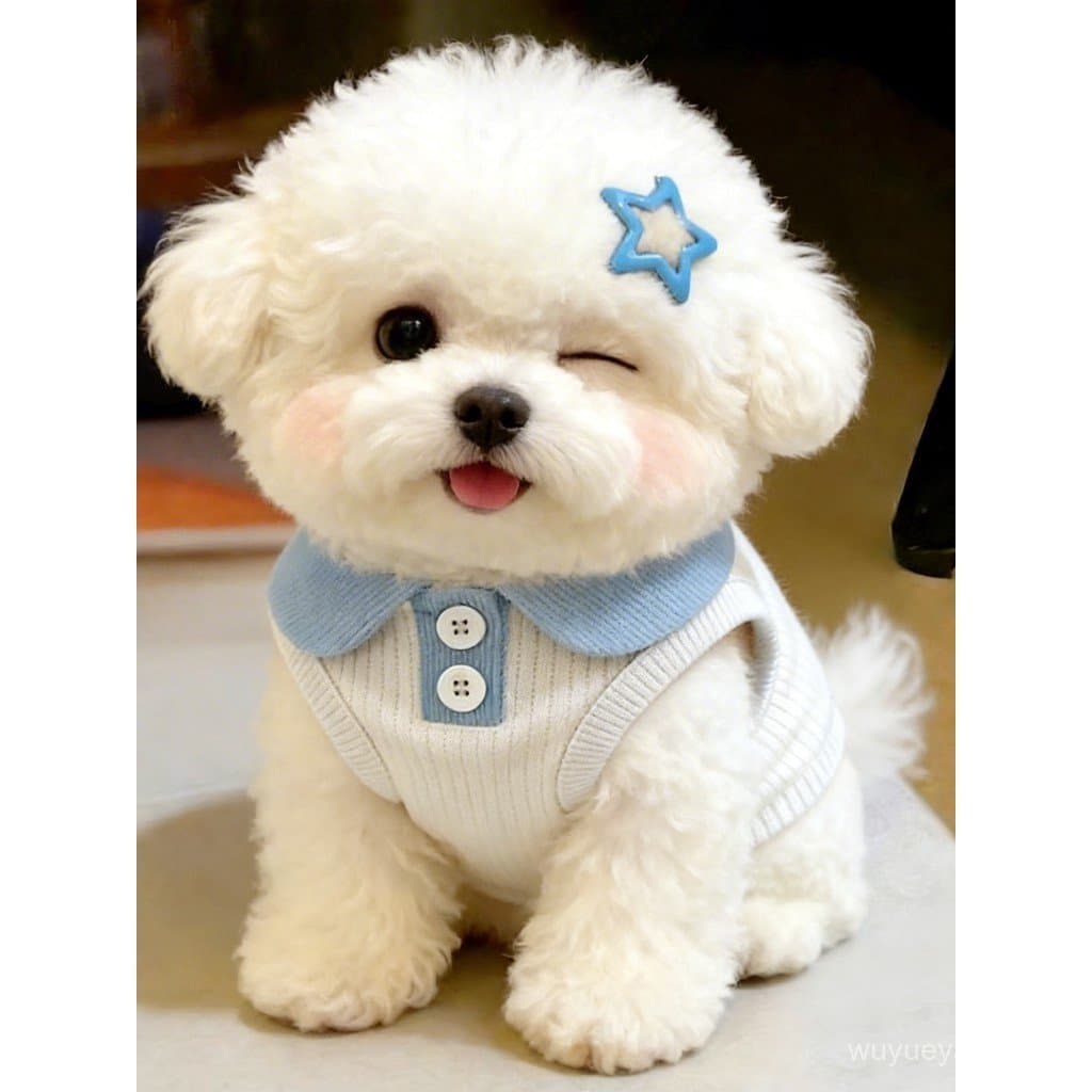 Roupas para cães camisa polo fofa verão Anti-lint pequeno cão Bichon Teddy lapela botão colete respirável