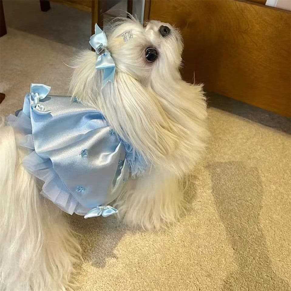 Novo vestido fofo de princesa para animais de estimação, vestido de duas pernas para cães e gatos, roupa rosa doce para