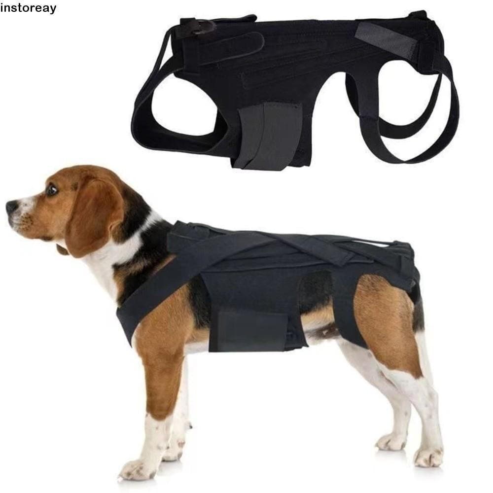 Colete De Suporte Para Costas De Cachorro INSTOREAY , Auxílio Confortável E Ajustável Mobilidade De Animais De Estimação