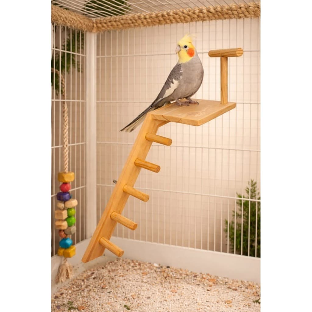 Escada 25cm Modelo Plataforma Para Calopsita Agaporni Ring Neck Periquito Aves Pássaros