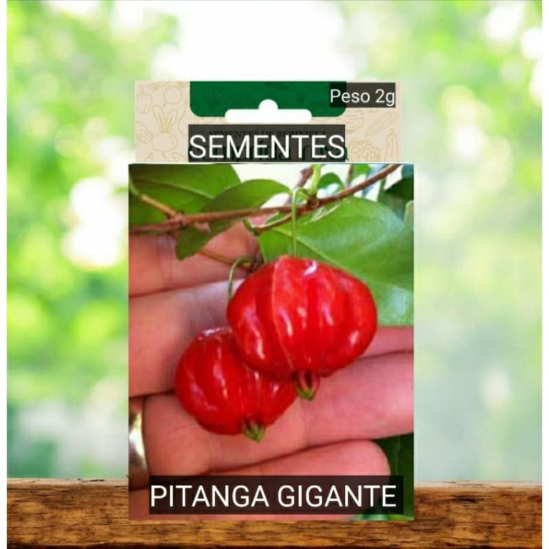PITANGA GIGANTE Sementes  plante vaso horta terra Jardim OFERTINHA #2