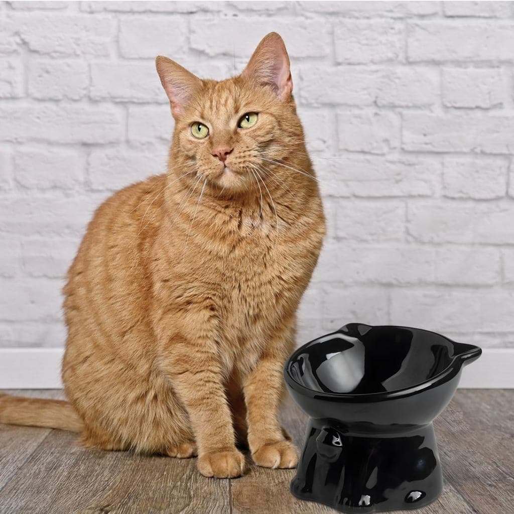 Tigelas Elevadas De Cerâmica Para Gatos , Extra Largas De 4 Unidades , Prato De Comida E Água Bigode Raso , Anti-Vômito