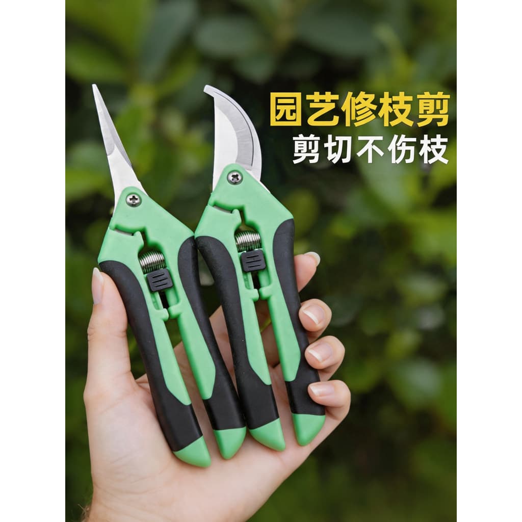 Tesoura de colheita de frutas poderosa tesoura de poda jardim fino frutas Floral tesoura uva frutas tesoura especial Ve