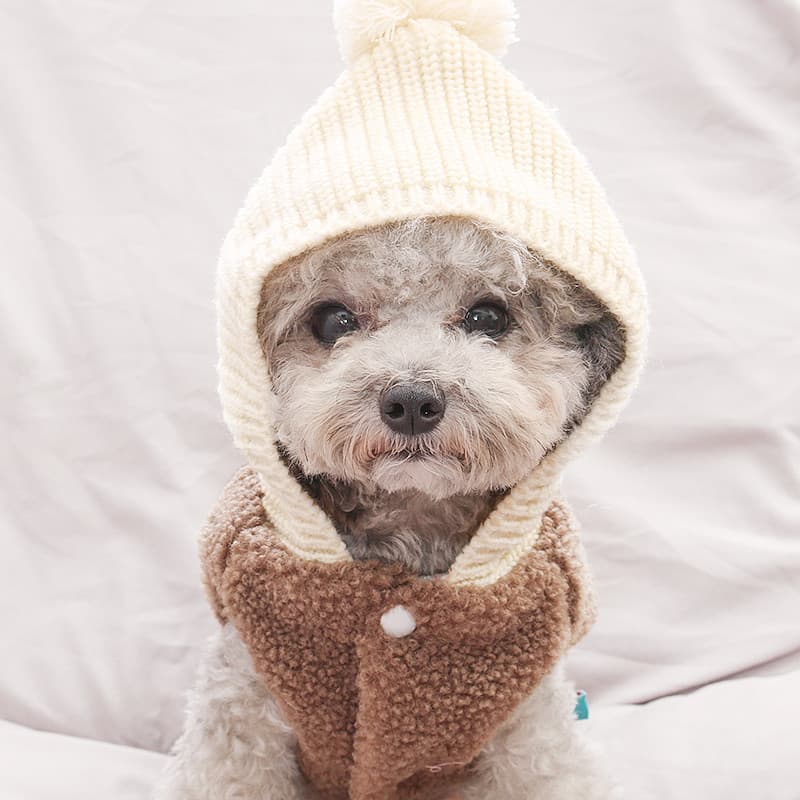 Outono inverno engrossado quente Pet algodão casaco Teddy Bichon Pomeranian Schnauzer pequeno cão filhotes roupas para c