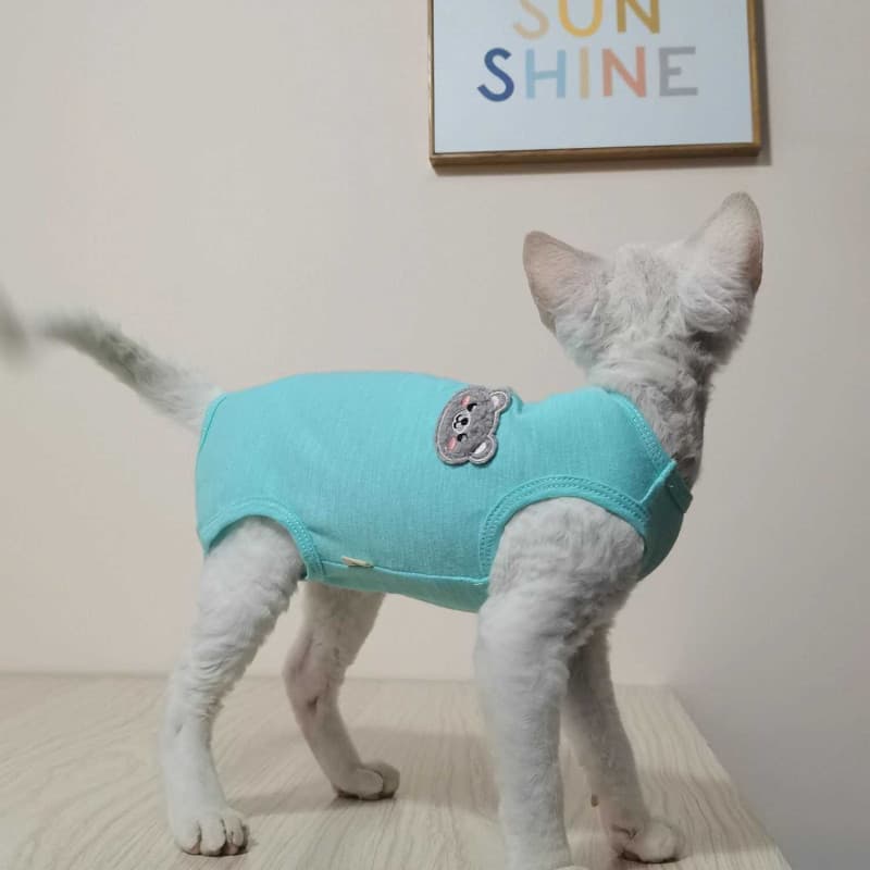 Verão colete fino camiseta roupas de quatro pernas não-puro algodão respirável fresco esfinge roupas de gato sem pêlos A