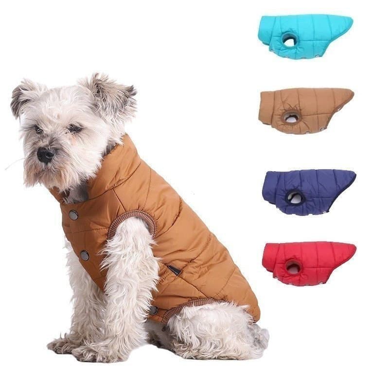 Jaqueta Acolchoada Para Cachorro , Roupas De Inverno Animais De Estimação Casaco De Lã