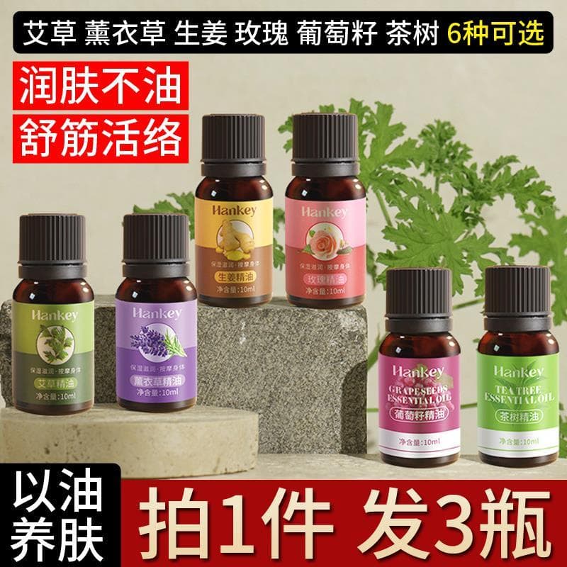 Massagem óleo essencial gengibre absinto rosa lavanda meridiano relaxar músculos ativo volta aberta massagem raspagem ól