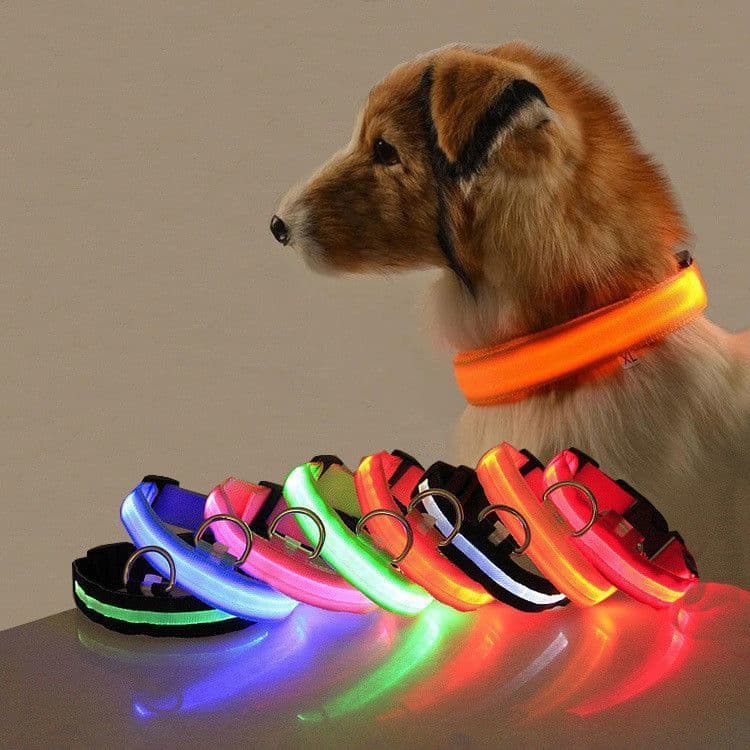 Coleira luminosa tipo C Coleira de Nylon Coleira de corda para cachorro Coleira de carregamento luminosa Coleira para ca