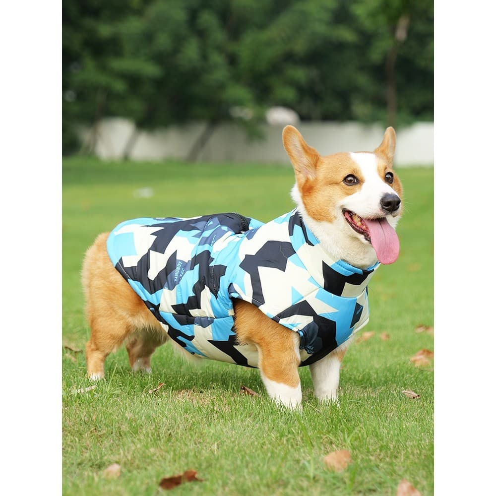 Roupas para cães 2025 novo estilo de tamanho médio cão Corgi especial algodão acolchoado roupas Dachshund inverno engros