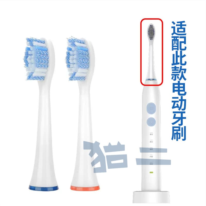 Gato dois adequado para filhote de cachorro cabeça escova de dentes elétrica Universal Y1 clareamento 360T1 substituição