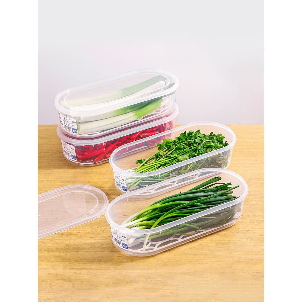 Coentro de cebolinha japonesa, caixa longa para manter fresco, cebola verde, coentro vegetal, dreno de geladeira, produt