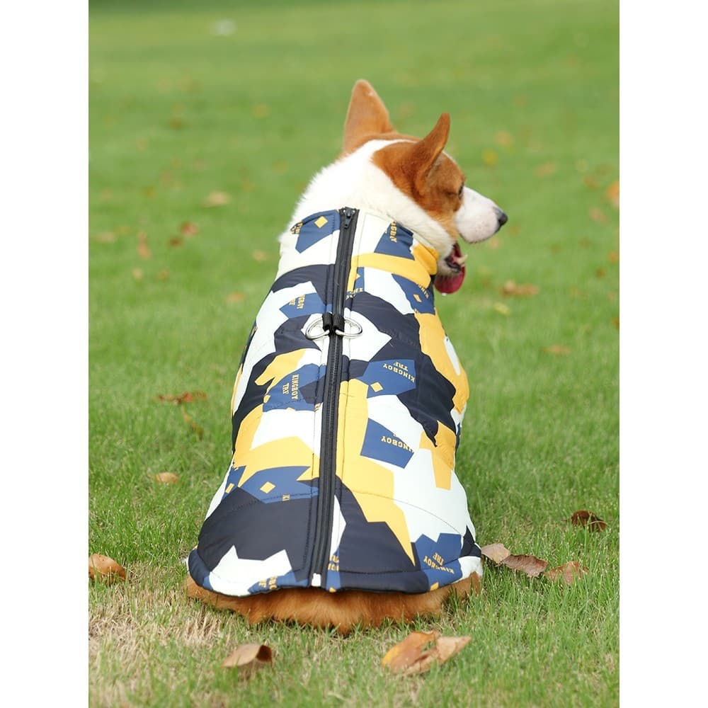 Corgi dedicado roupas para cães outono inverno roupas de algodão acolchoado casaco Dachshund filhotes tração inverno que