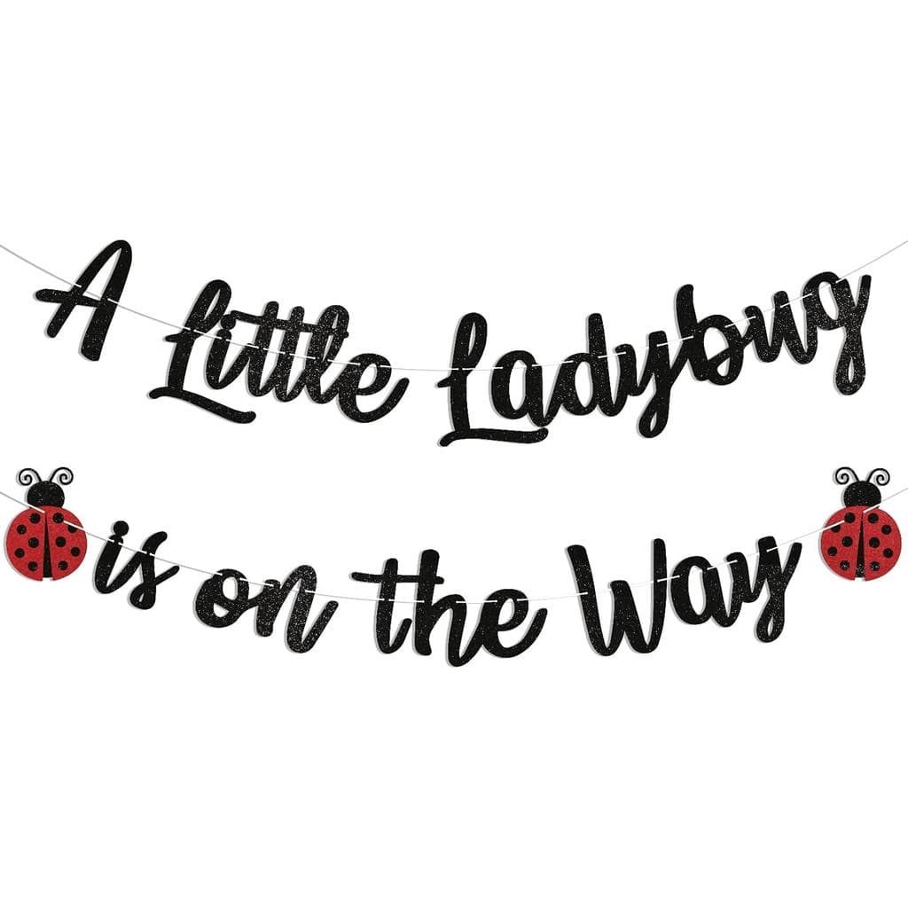Ladybug Baby Shower Decorations - A Little Ladybug is on the Way Banner, Ladybug Birthday Decorations, Ladybug Themed Ba