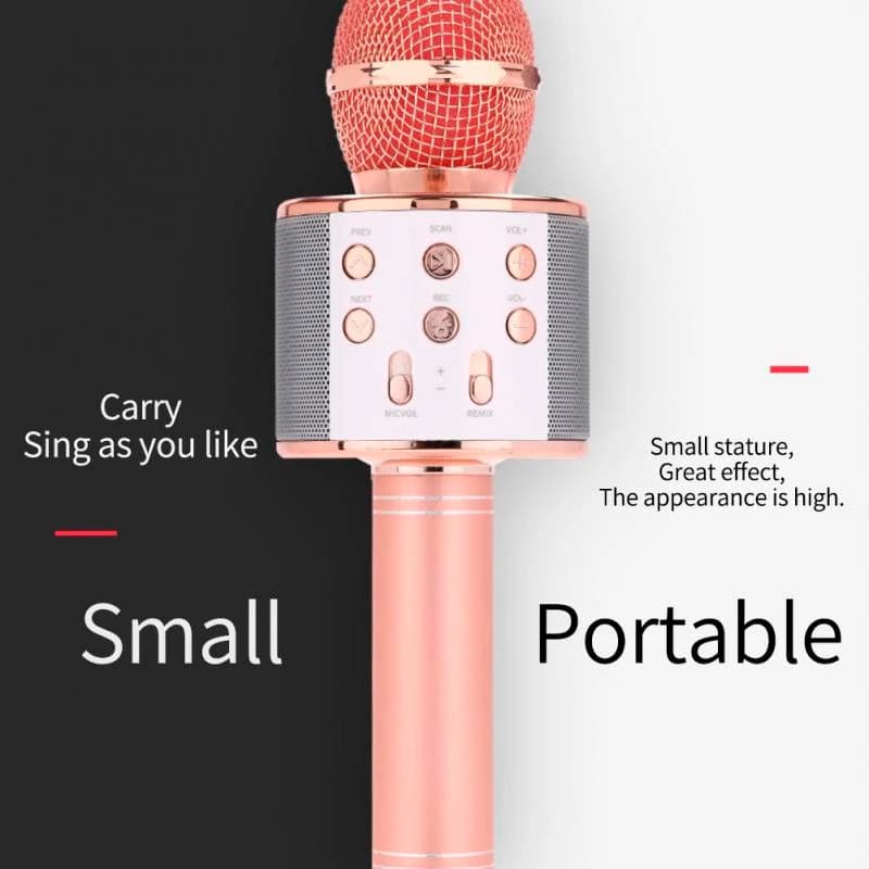 Microfone Infantil De Karaoke WS-858 Brinquedo Sem Fio Bluetooth Fofo