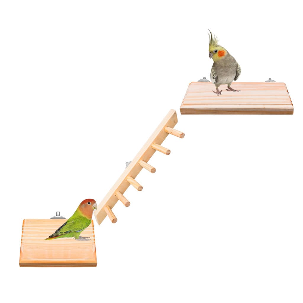 Kit Poleiros Plataforma e Escadinha Para Aves Calopsita, Periquito e Agapornis