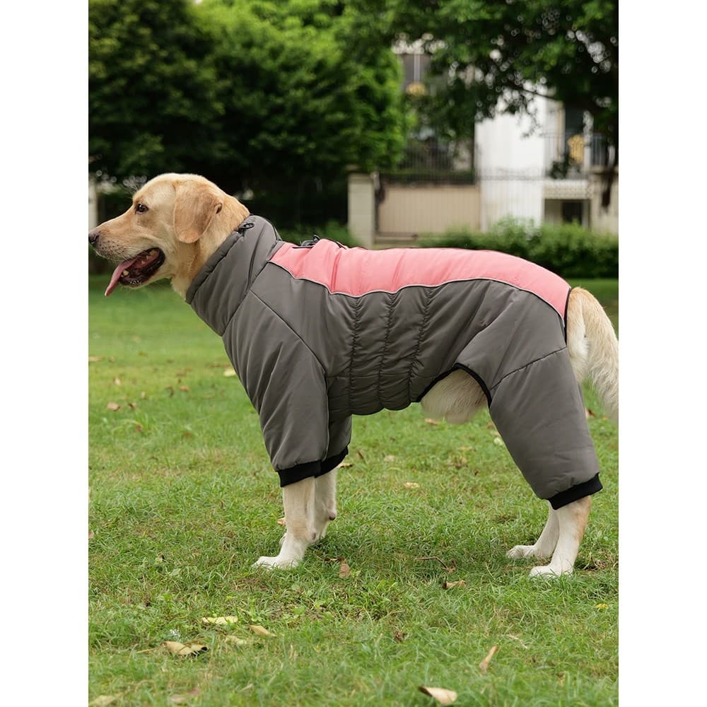 Pode tração roupas para cães outono inverno grande escala cão dourado desgastado borda pastor filhotes roupas de quatro