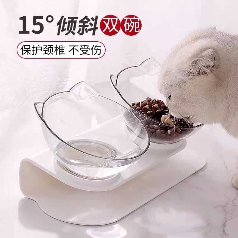 Alimentação de tigela para gatos