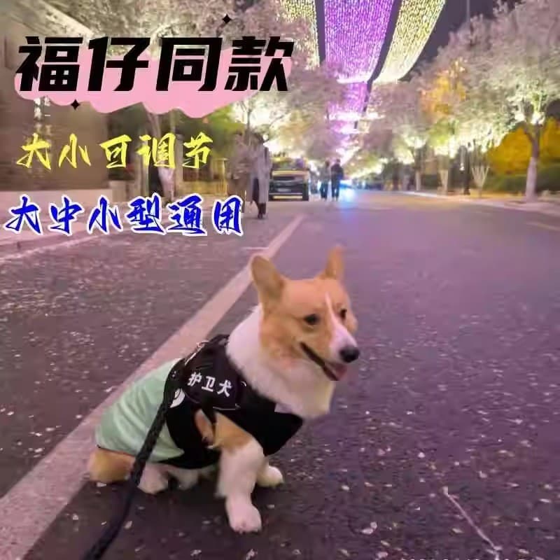 Corgi capa traseira corgi tração corda guarda roupas dever do cão colete cinta passeio andando cão Doberman médio grande