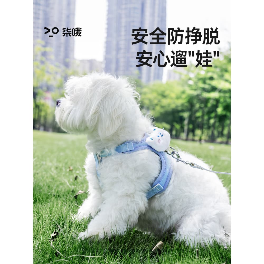 Coleira para cachorro pequeno, alça peitoral dedicada para cachorro, pelúcia, Bichon, filhote de cachorro, coleira para