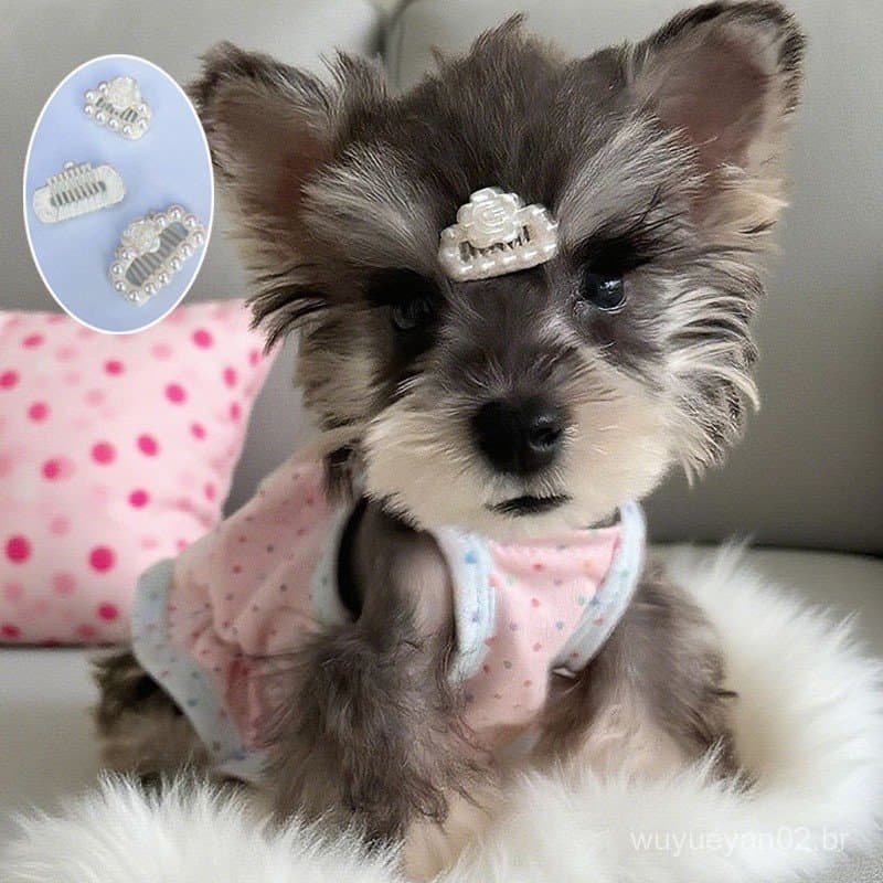 Grampos De Cabelo Para Cães-Fofos De Pérola Animais De Estimação , Dentes Densos E Antiderrapantes , Acessórios Cuidados