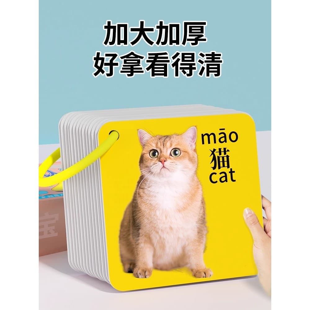Cartão Animal cognição educação infantil crianças alfabetização olhar para fotos alfabetização iluminação livro crianças