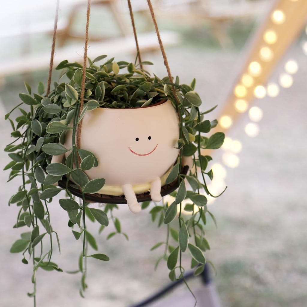 Vaso de Plantas Suspenso em Forma de Cadeira Balançante para Plantas de Interior e Exterior, Vasos de Flores com Rosto S