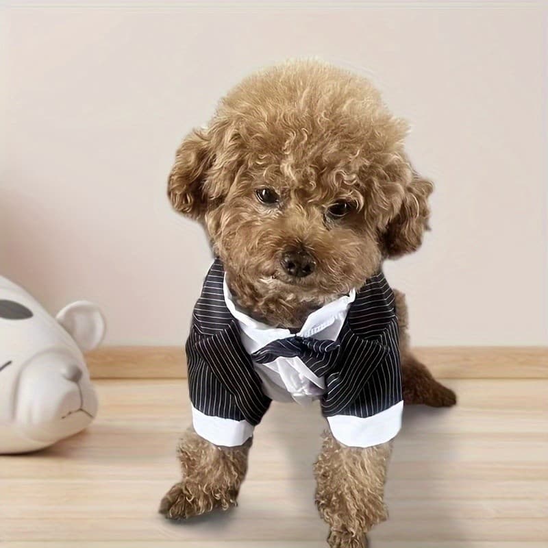 Roupa Leve para Cães e Gatos de Primavera/Verão, Roupa para Teddy, Roupa com Camisa, Vestido de Casamento, Roupa Formal