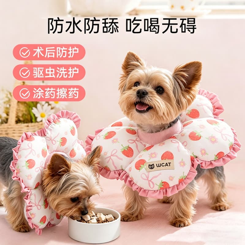 Yorkshire dedicado cão Elizabeth colar Pet esterilização Anti-lamber mordida colar não afeta comer cães pequenos